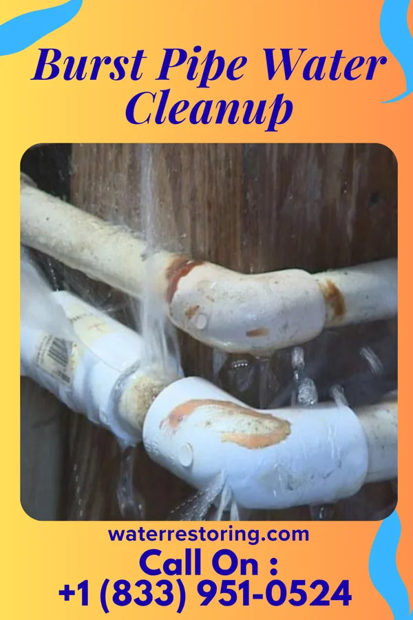 Burst Pipe Water Cleanup in Yeadon, PA