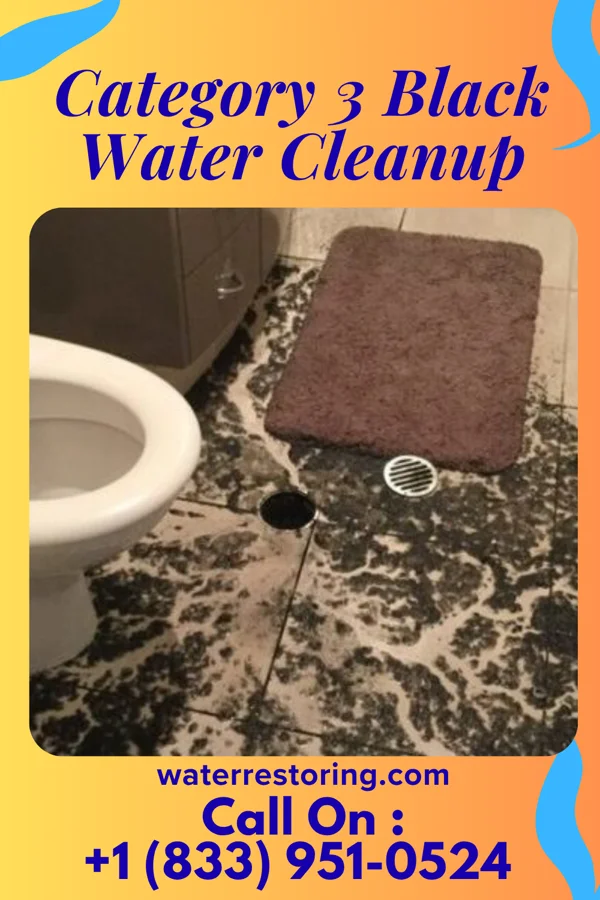 Category 3 Black Water Cleanup in Yeadon, PA
