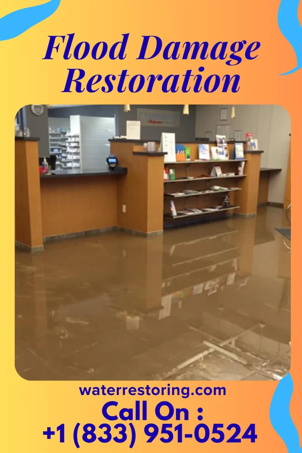 Flood Damage Restoration in Yeadon, PA