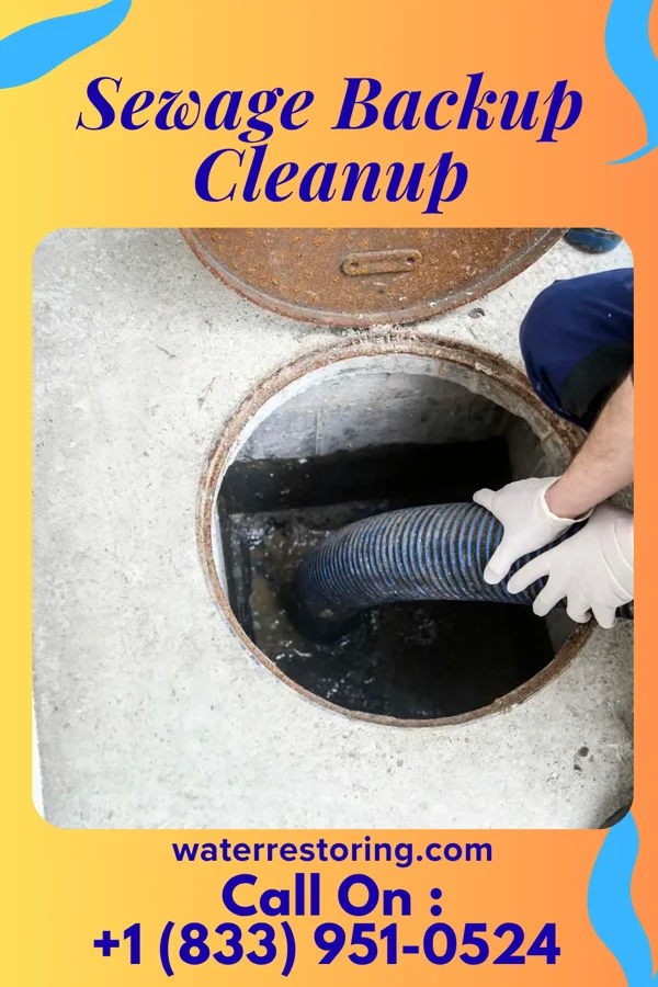 Sewage Backup Cleanup in Yeadon, PA