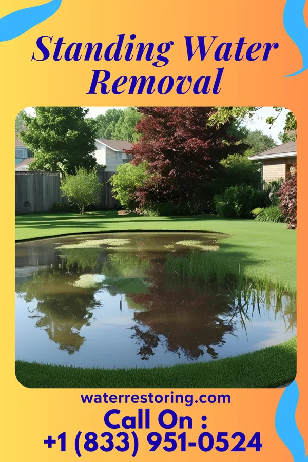 Standing Water Removal in Yeadon, PA